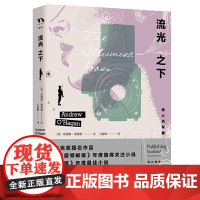 流光之下