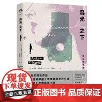 流光之下