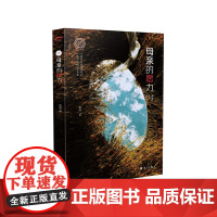 母亲的愿力(感动无数女性,纯棉作家赵婕情感疗愈力作)
