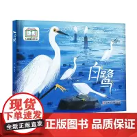 白鹭 入选首届儿童图画书创作100项目、白鹭科普书、探索自然、环境保护、鸟类及大自然保护