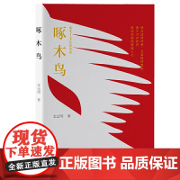 啄木鸟(官场深水区,情与法的冲突,兄弟情的取舍)