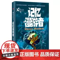 记忆漫游者
