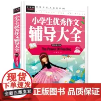 常春藤-小学生作文辅导大全