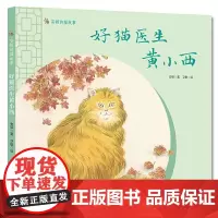 安顿的猫故事--好猫医生黄小西