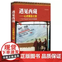 遇见西藏(精美四色图文版)——心灵朝圣之旅:深入西藏、重获生命的奇迹