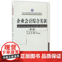 企业会计综合实训(第二版)