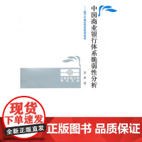 中国商业银行体系脆弱性分析