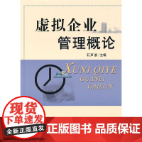 虚拟企业管理概论