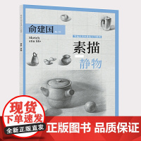 素描·静物——零起点美术技法入门系列