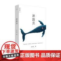 迷路员 沈大成新作 青年作家 宝珀理想国文学奖 小行星行星掉在下午作者 现当代文学短篇小说书 短篇小说 正版书籍