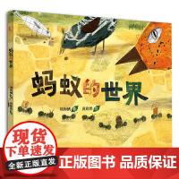 《蚂蚁的世界》有趣的环保主题绘本,提升孩子的共情能力。