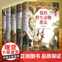 正版书籍 我的野生动物朋友全套5册欧美通识启蒙读本完整版人与自然科学科普8-10-12周岁二三四年级小学生课外阅读儿童读