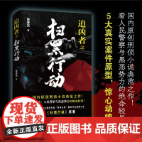 追凶者之扫黑行动