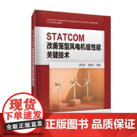 STATCOM改善笼型风电机组性能关键技术 中国电力出版社 正版书籍