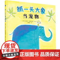 抓一头大象当宠物