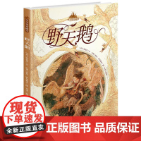 至美童话殿堂:野天鹅