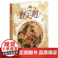 至美童话殿堂:野天鹅