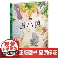 至美童话殿堂:丑小鸭