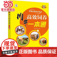 肉牛高效饲养一本通 陈晓勇