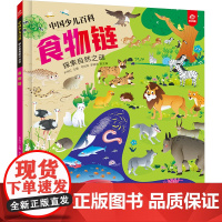 中国少儿百科 核心素养提升丛书 食物链