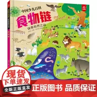 中国少儿百科 核心素养提升丛书 食物链