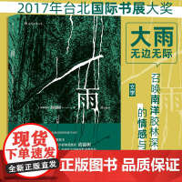 雨 黄锦树 四川人民出版社 正版书籍 豆瓣红人朱岳郁达夫奖马来西亚华语金鼎奖图书奖获奖作品 短篇小说作品文学