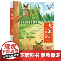 飞禽记:博物学画家奥杜邦鸟类手绘彩图,书后附英文原版,阅读原汁原味的自然文学之美