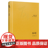 小灯 尤凤伟 花城出版社 正版书籍