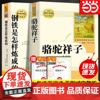 正版原著骆驼祥子钢铁是怎样炼成的全套七年级下册套装人民教育出版社人教版初中初一课外阅读书名著配套书目海底两万里必读