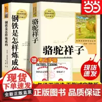 正版原著骆驼祥子钢铁是怎样炼成的全套七年级下册套装人民教育出版社人教版初中初一课外阅读书名著配套书目海底两万里必读