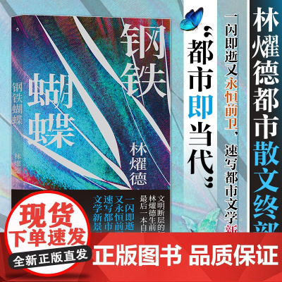 钢铁蝴蝶林燿德 九州出版社 后浪正版书籍