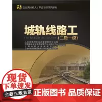 城轨线路工(二级 一级)——企业高技能人才职业培训系列教材