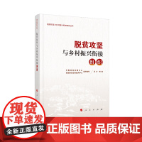 脱贫攻坚与乡村振兴衔接:组织(脱贫攻坚与乡村振兴衔接研究丛书)