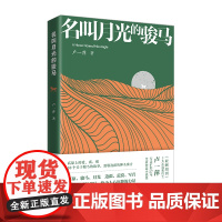 名叫月光的骏马