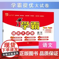 24秋 小学学霸提优大试卷 语文 4年级四年级上册 人教版部编版版
