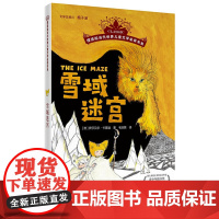 摆渡船当代世界儿童文学金奖书系 雪域迷宫