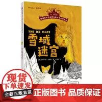 摆渡船当代世界儿童文学金奖书系 雪域迷宫
