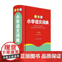多功能小学语文词典(全新版)
