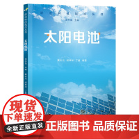 前沿科技视点丛书·太阳电池