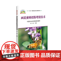 画说蜜蜂授粉增效技术