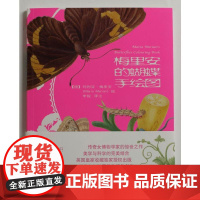 梅里安的蝴蝶手绘图 上海书画出版社 正版书籍