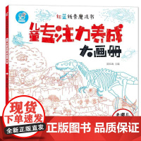 海润阳光 红蓝线条魔法书 儿童专注力养成大画册去哪儿探险? 专注力视觉大发现思维逻辑训练书3-4-5-6岁益智早教书幼儿