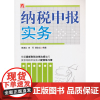 纳税申报实务