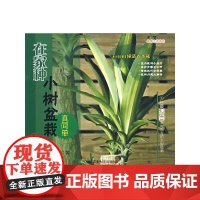 在家种小树盆栽真简单