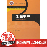 牛羊生产