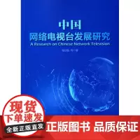 中国网络电视台发展研究