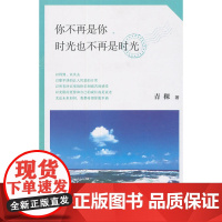 你不再是你,时光也不再是时光