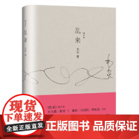 乱来(增补本。随笔书写鬼一样飘忽不定的当下) 毛尖 文汇出版社 正版书籍