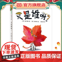 又是谁呀?(魔法象·图画书王国)