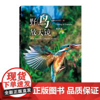 野鸟放大镜食衣篇(自然观察丛书) 许晋荣 著 商务印书馆 正版书籍